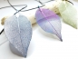 Preview: Blatt Ketten